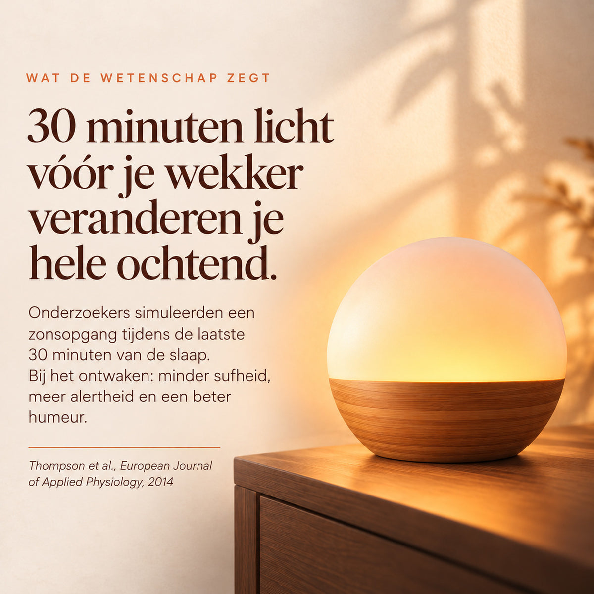 SOLA - Wood lichtwekker